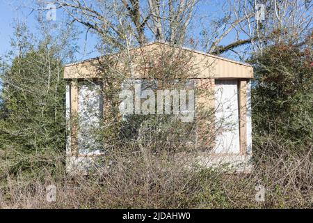 Verlassene Wohnanhänger mit Sträuchern und Setzlingen, die darüber wachsen. Stockfoto