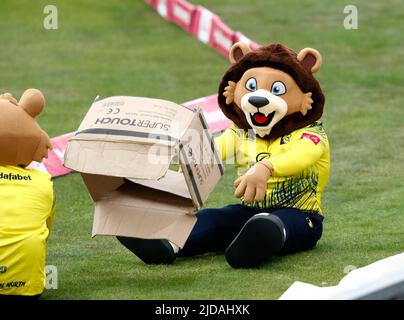 CHESTER LE STREET, GROSSBRITANNIEN. JUN 19. Maskottchen von Durham ‘Chester' gesehen beim Vitality T20 Blast Match zwischen Durham County Cricket Club und Leicestershire County Cricket Club am Sonntag, 19.. Juni 2022 im Seat Unique Riverside, Chester le Street. (Kredit: Will Matthews | MI News) Kredit: MI News & Sport /Alamy Live News Stockfoto