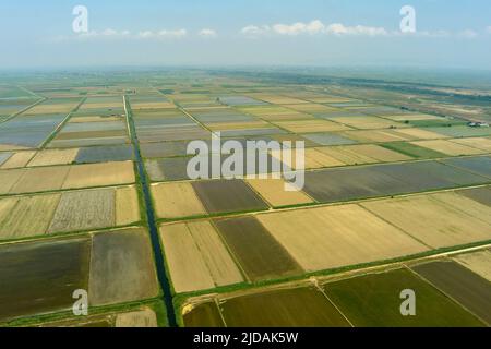 Luftaufnahme des Reisfeldes in Xalastra, Griechenland Stockfoto