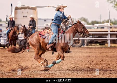 Weibliche Rider, die beim Country Rodeo Australia beim Barrel-Rennen auf dem Pferd antritt Stockfoto