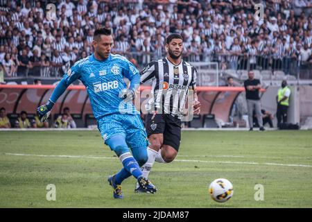 New York, New York, USA. 19.. Juni 2022. Brasilianische Fußballmeisterschaft: Atletico-MG gegen Flamengo. 19. Juni 2022, Belo Horizonte, Minas Gerais, Brasilien: Fußballspiel zwischen Atletico-MG und Flamengo, gültig für die brasilianische Fußballmeisterschaft 13., die am Sonntag (19) im Mineirao-Stadion in Belo Horizonte, Minas Gerais, ausgetragen wird. Atletico-MG Team gewann das Spiel 2:0, mit Toren von Nacho Fernandez und Adamir Credit: Breno Babu/Thenews2 (Credit Image: © TheNEWS2 via ZUMA Press Wire) Stockfoto