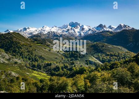 Schneebedeckte Berge in Covadonga, Asturien, Spanien. Stockfoto