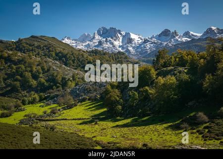Schneebedeckte Berge in Covadonga, Asturien, Spanien. Stockfoto