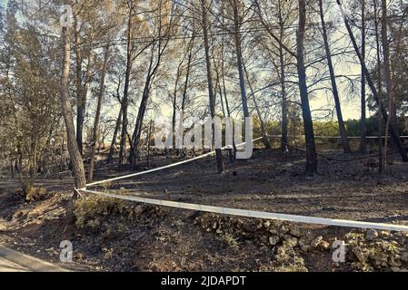 Olivella, Barcelona, Spanien. 19.. Juni 2022. Blick auf das Waldgebiet, das bei einem Waldbrand in Olivella (Barcelona) verbrannt wurde die Feuerwehrleute der Regierung von Katalonien haben das Feuer, das in Olivella (Barcelona) brannte, als stabilisiert betrachtet und arbeiten an diesem Sonntag daran, es zu kontrollieren. (Bild: © Ramon Costa/SOPA Images via ZUMA Press Wire) Stockfoto