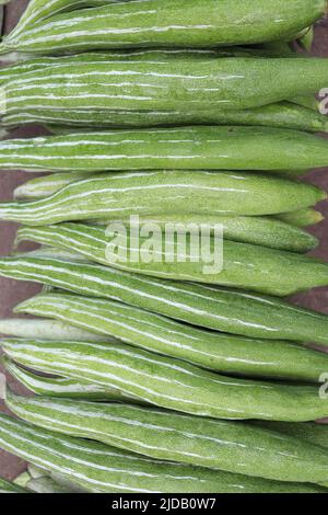 Frische und gesunde Schlangenkürbis Vorrat im Geschäft zum Verkauf Stockfoto