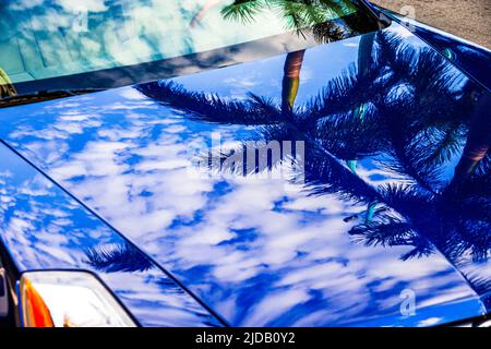 Cadillac Hood reflektiert weiße Wolken und zwei Palmen gegen die blaue Kapuze des Caddys in Miami Beach. Stockfoto