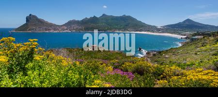 Sentinel Peak an der Mündung der Hout Bay am Atlantik; Kapstadt, Westkap, Südafrika Stockfoto