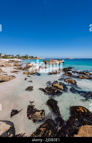 Felsiges Ufer mit großen Felsblöcken und Strandhäusern am Atlantik in Clifton Beach; Kapstadt, Westkap, Südafrika Stockfoto
