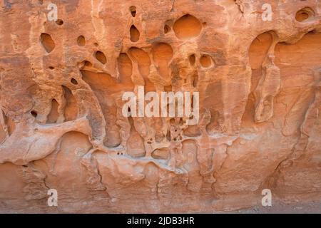 Geschmolzenes Gestein im Sandstein im Arches National Park in Utah Stockfoto