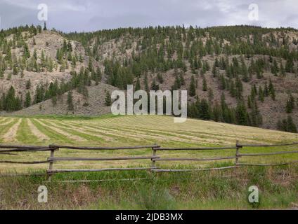 Ländliche Landschaft mit Holzpfosten und Eisenbahnzaun, gemähtem Feld und bewaldeten Hügeln entlang des Highway 8, südlich von der Spences Bridge nach Merrit Stockfoto