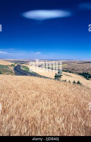 Die Straße schlängelt sich durch die Landschaft; Oregon, Vereinigte Staaten von Amerika Stockfoto