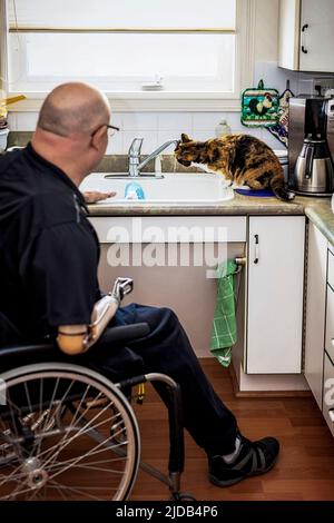 Mann mit Doppelgliedmaßenamputationen, der zu Hause in der Küche arbeitet, mit seiner Hauskatze, die Wasser aus dem Wasserhahn trinkt Albert, Alberta, Kanada Stockfoto