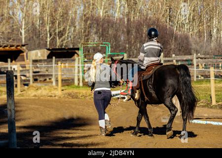 Ein Trainer, der mit einem jungen Mädchen mit Zerebralparese während einer Hippotherapiesitzung arbeitet; Westlock, Alberta, Kanada Stockfoto