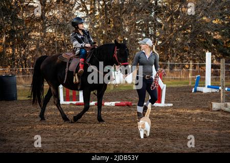 Ein Trainer, der mit einem jungen Mädchen mit Zerebralparese während einer Hippotherapiesitzung arbeitet; Westlock, Alberta, Kanada Stockfoto