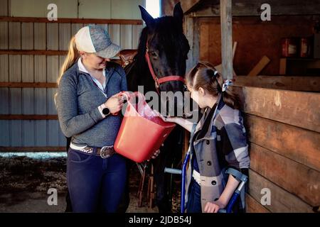 Ein junges Querschnittslähmung füttert ein Pferd mit ihrem Trainer während einer Hippostherapie-Sitzung; Westlock, Alberta, Kanada Stockfoto