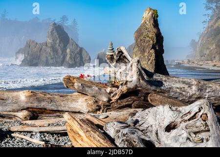 Ein Steinhaufen auf Treibholz gestapelt mit Meeresstapeln und Wellen des Pazifischen Ozeans im Hintergrund am Ruby Beach auf der Olympischen Halbinsel in Th... Stockfoto