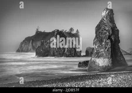 Schwarz-weiß-Bild von Meeresstapeln und Abbey Island am Ruby Beach im Olympic National Park an der Küste von Washington Stockfoto