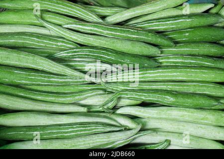 Frische und gesunde Schlangenkürbis Vorrat im Geschäft zum Verkauf Stockfoto