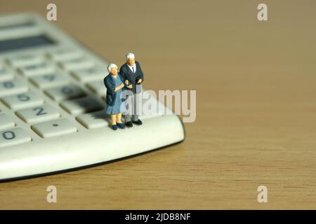 Miniatur Menschen Spielzeug konzeptuelle Fotografie. Älteres Paar, das über dem Rechner steht. Bildfoto Stockfoto