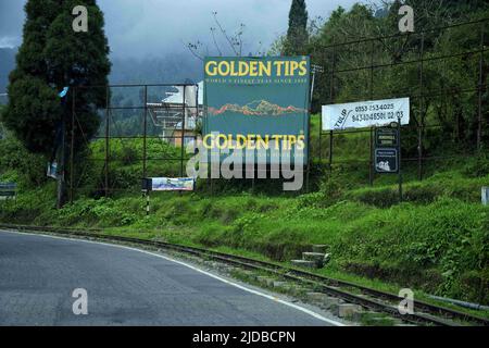 Kurseong, Westbengalen, Indien. 15. April 2022. Kurseong ist eine malerische Schönheit, eine Hügelstadt in Westbengalen im östlichen Himalaya. Es ist eine Stadt und eine Gemeinde in Darjeeling, Westbengalen. Kurseong liegt auf einer Höhe von 1.482,55 Metern und ist nur 32 Kilometer von Darjeeling entfernt. Die Stadt wurde ursprünglich Karsan Rup genannt, was das „Land der weißen Orchidee“ bedeutet. Es ist der ideale Ort, um stressfreie Tage zu verbringen, während Sie vom östlichen Himalaya und Frieden umgeben sind. Hügel und Gipfel wie Mt Kanchenzöna, Dow Hill, St Mary's Hill und andere können von t aus gesehen werden Stockfoto