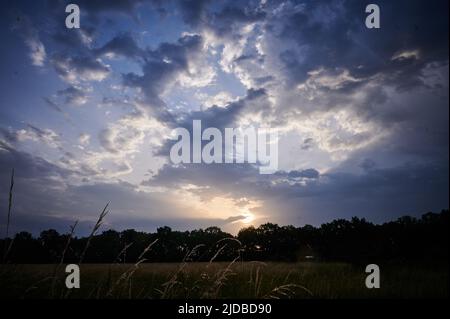 Treuenbrietzen, Deutschland. 20.. Juni 2022. Nach einem heißen Wochenende kühlte sich die Luft deutlich ab. Quelle: Annette Riedl/dpa/Alamy Live News Stockfoto