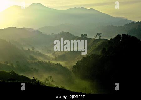 Bergrücken mit Wald und Sträuchern bedeckt im Hintergrund des Berges Pangrango (links) und des Berges Gede, die die Kernzone des Mount Gede Pangrango National Park sind, fotografiert vom Dorf Benda in Cicurug, Sukabumi, West Java, Indonesien. Stockfoto