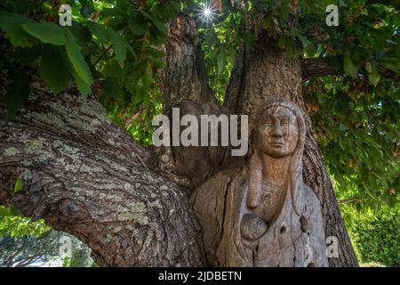 Mutter-Kind-Statue der amerikanischen Ureinwohner, die im Regionalpark der Ragle Ranch in Sebastopol, Kalifornien, in das Holz eines Kastanienbaums gehauen wurde. Stockfoto