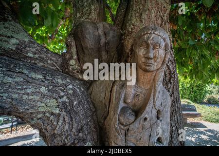 Mutter-Kind-Statue der amerikanischen Ureinwohner, die im Regionalpark der Ragle Ranch in Sebastopol, Kalifornien, in das Holz eines Kastanienbaums gehauen wurde. Stockfoto