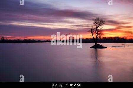 Teich bei Sonnenuntergang mit Silhouette Baum, Wasserlandschaft Stockfoto