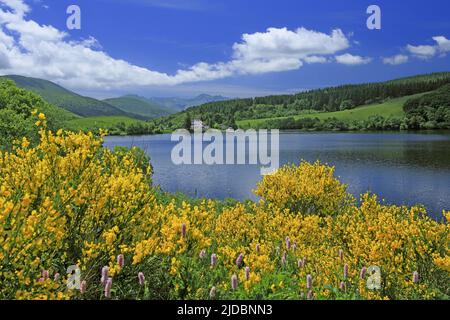 Frankreich, Puy-de-Dôme See Guéry Bergsee vulkanischen Ursprungs im Massif des Monts Dore Stockfoto