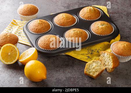 Leckere gesunde Muffins mit Mohnsamen und Zitronenschale aus nächster Nähe in einer Metallmuffinpfanne auf dem Tisch. Horizontal Stockfoto