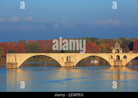 Frankreich, Vaucluse Avignon, Pont Saint-Bénézet, UNESCO-Weltkulturerbe Stockfoto