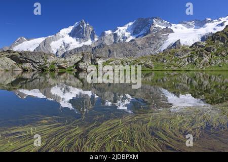 Frankreich, Hautes-Alpes La Grave, Massif de la Meije, See Lerie Stockfoto