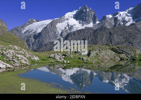 Frankreich, Hautes-Alpes La Grave, Massif de la Meije, See Lerie Stockfoto