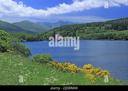 Frankreich, Puy-de-Dôme See Guéry Bergsee vulkanischen Ursprungs im Massif des Monts Dore Stockfoto