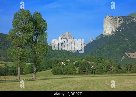 France, Drome, Lus-la-Croix-Haute, la Jarjatte, Bergzirkus aus felsigen Nadeln Stockfoto