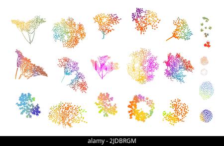 Ein Satz von bunten Regenbogenblumen. Vektorgrafik Stock Vektor