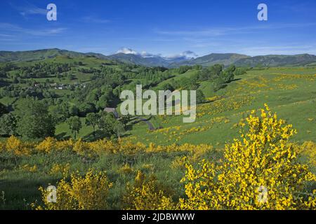 Frankreich, Cantal Mandailles-Saint-Julien, Landschaften der Cantal-Berge im Frühling Stockfoto