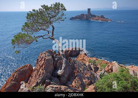 France, Var (83) Saint Raphaël, le Dramont, Cap Dramont und l'Ile d'Or Stockfoto