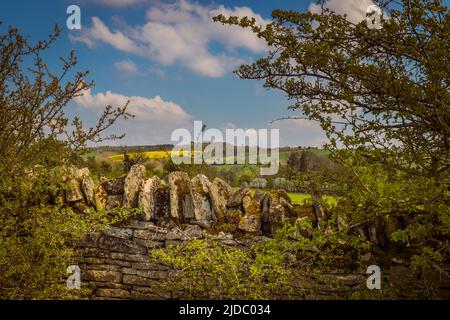 Cotswold Steinmauer Stockfoto