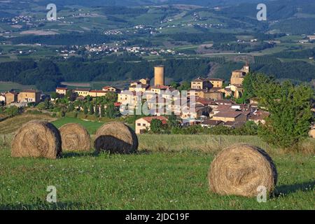 Frankreich, Rhône (69) Oingt mittelalterliches Dorf klassifiziert "schönsten Dörfer in Frankreich, das Land der goldenen Steine, Stockfoto