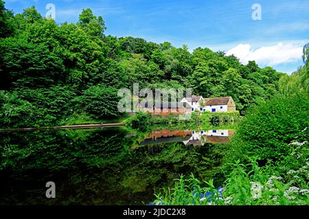 Das Bootshaus und der Student der Universität Durham School Boat Club spiegeln sich im Sommer in der Abnutzung des Flusses zwischen grünen Bäumen und blauem Himmel wider Stockfoto