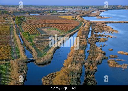 Frankreich, Bouches-du-Rhône Camargue Teichlandschaft (Luftaufnahme) Stockfoto