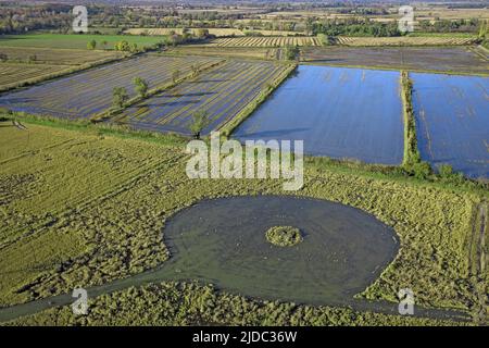 Frankreich, Bouches-du-Rhône Camargue, Teichlandschaft (Luftaufnahme) Stockfoto