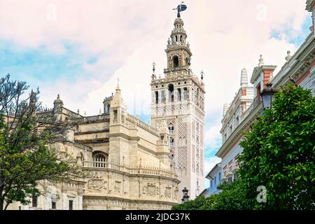 La Giralda Glockenturm von der plaza an der Kathedrale von Sevilla, Spanien Stockfoto