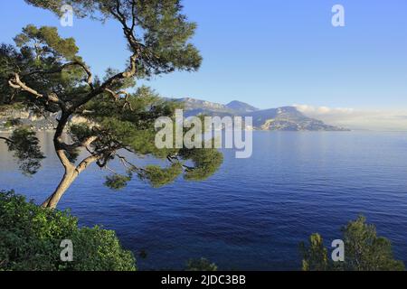 Frankreich, Alpes-Maritimes Cap-d'Ail, Küstenlandschaft von Saint-Jean-Cap-Ferrat Stockfoto