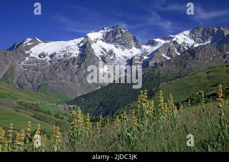 Frankreich, Hautes-Alpes La Grave, Meije-Massiv, Ecrins-Nationalpark Stockfoto