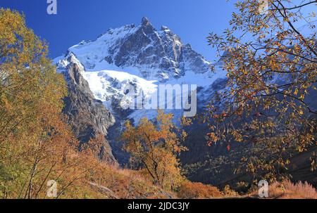 Frankreich, Hautes-Alpes La Grave, Meije-Massiv, Ecrins-Nationalpark im Herbst Stockfoto