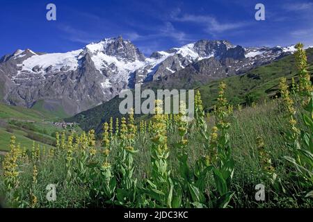 Frankreich, Hautes-Alpes La Grave, Meije-Massiv, Ecrins-Nationalpark Stockfoto