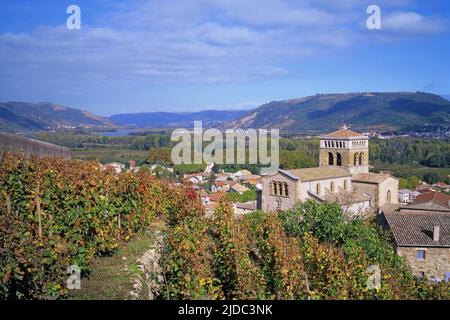 Frankreich, Ardèche Vion, romanische Kirche, Weinberg im Rhône-Tal Stockfoto